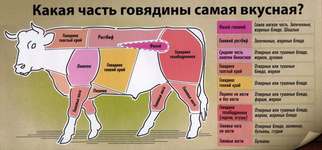 классификация говядины